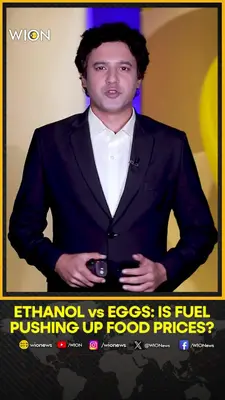 Wion News