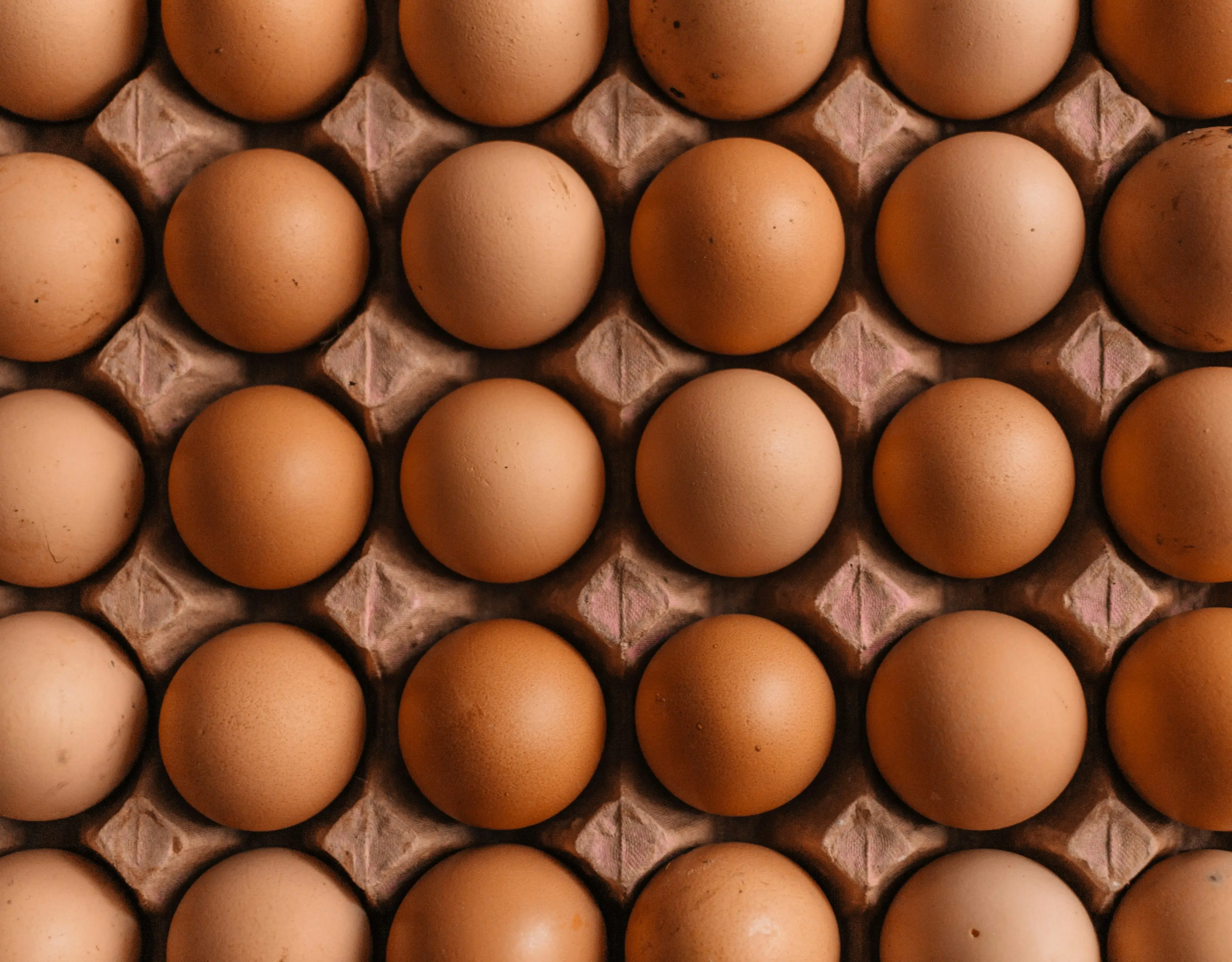 Will eggs get more expensive this winter? Ethanol push puts maize supply under pressure