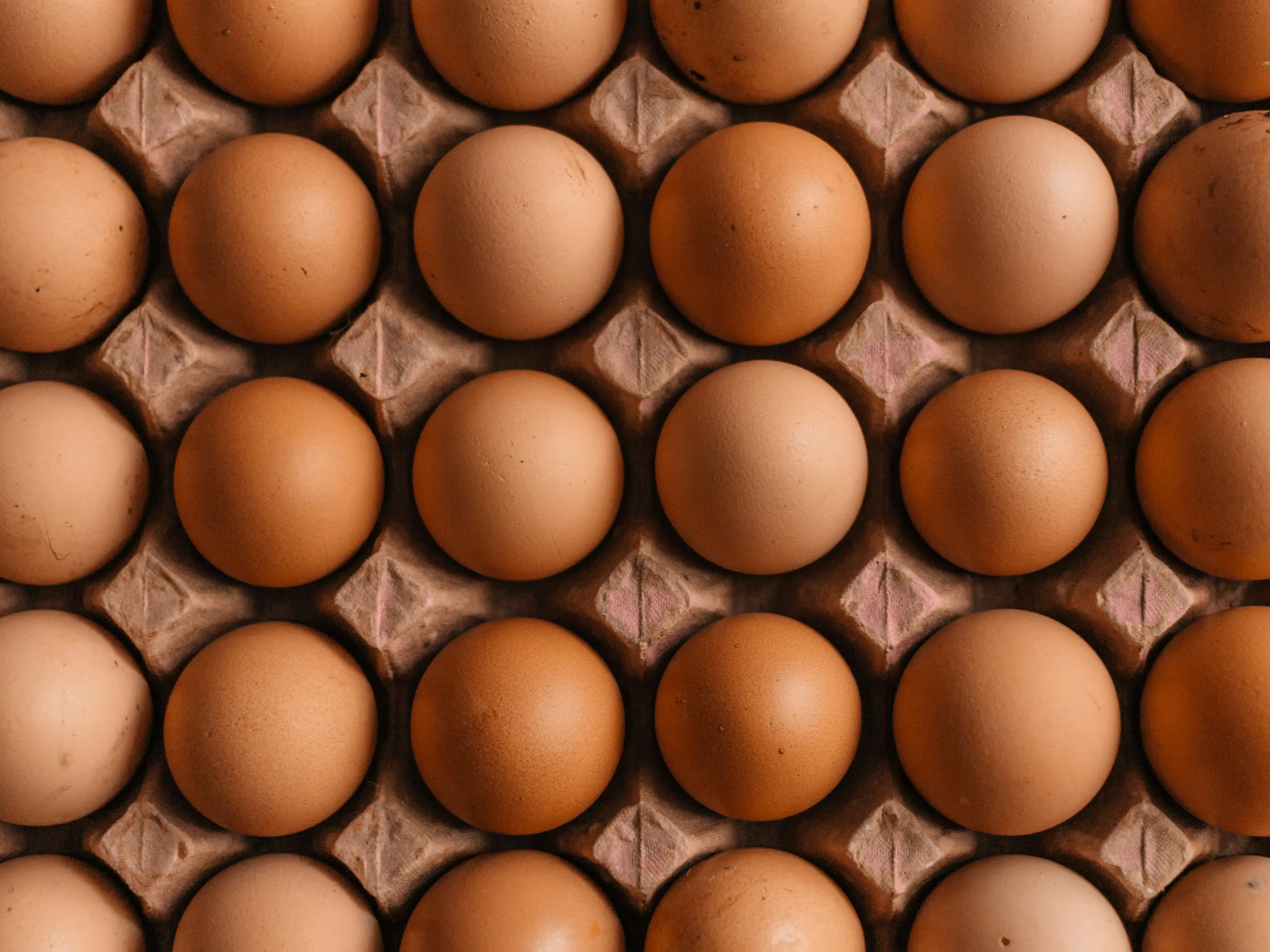 Will eggs get more expensive this winter? Ethanol push puts maize supply under pressure Will eggs get more expensive this winter? Ethanol push puts maize supply under pressure