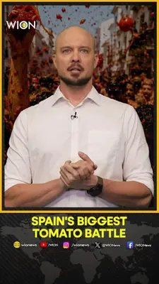 Wion News