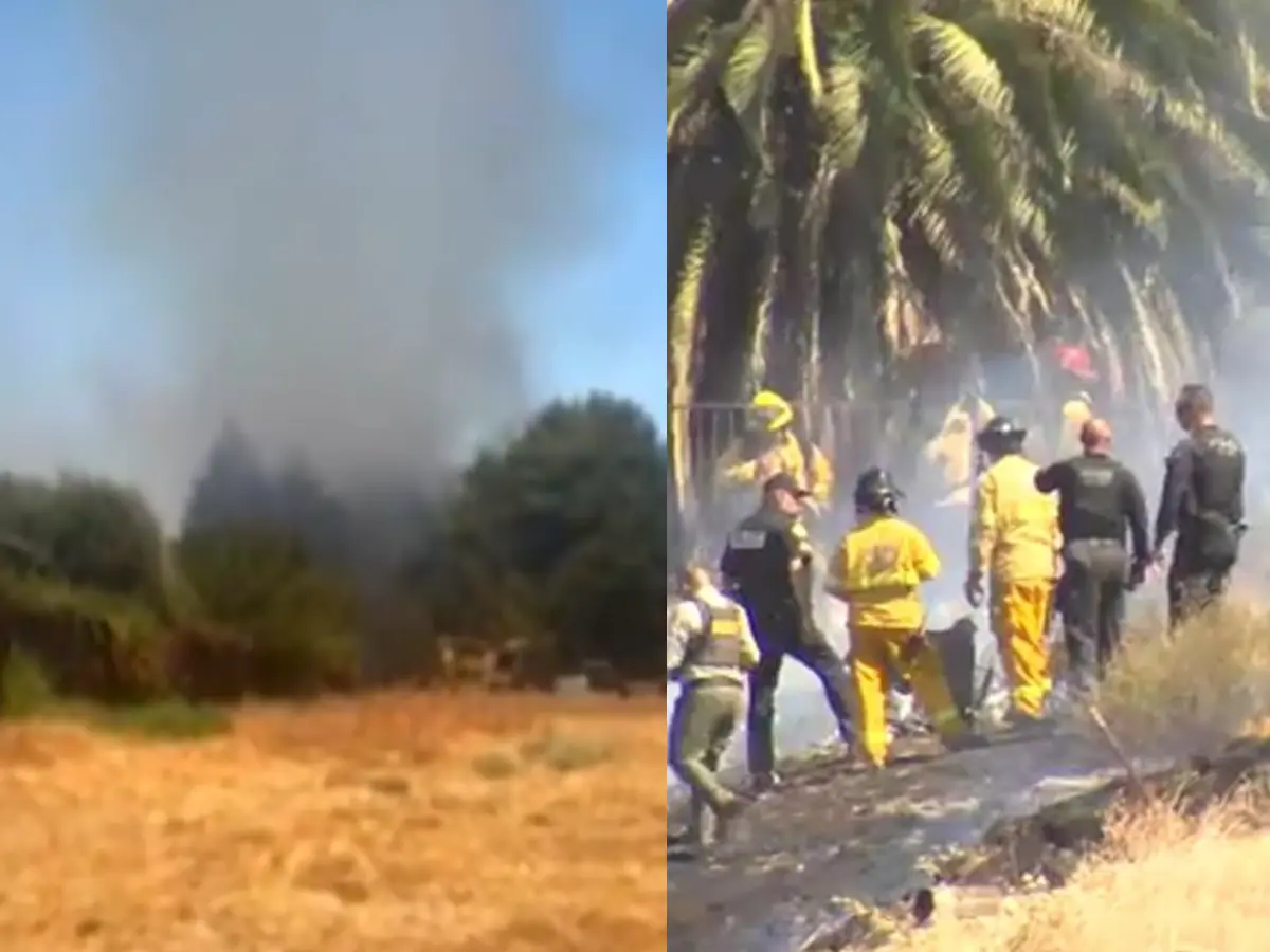 Plane crashes in California's Fresno, leaves 2 dead, 2 injured; probe underway | VIDEO