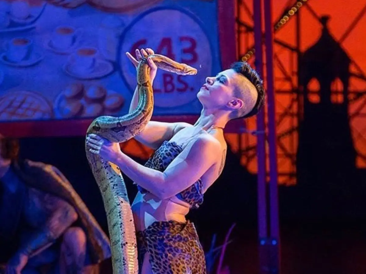 Slither to stage: New York's Metropolitan Opera gets unusual casting call as snakes try out for role
