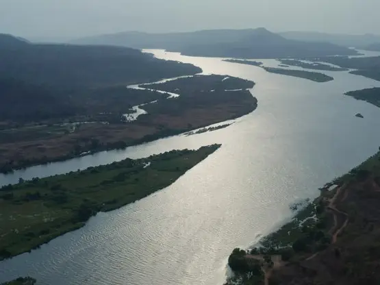Family of four in Andhra Pradesh jumps off bridge into Godavari river, woman rescued, 3 missing Family of four in Andhra Pradesh jumps off bridge into Godavari river, woman rescued, 3 missing