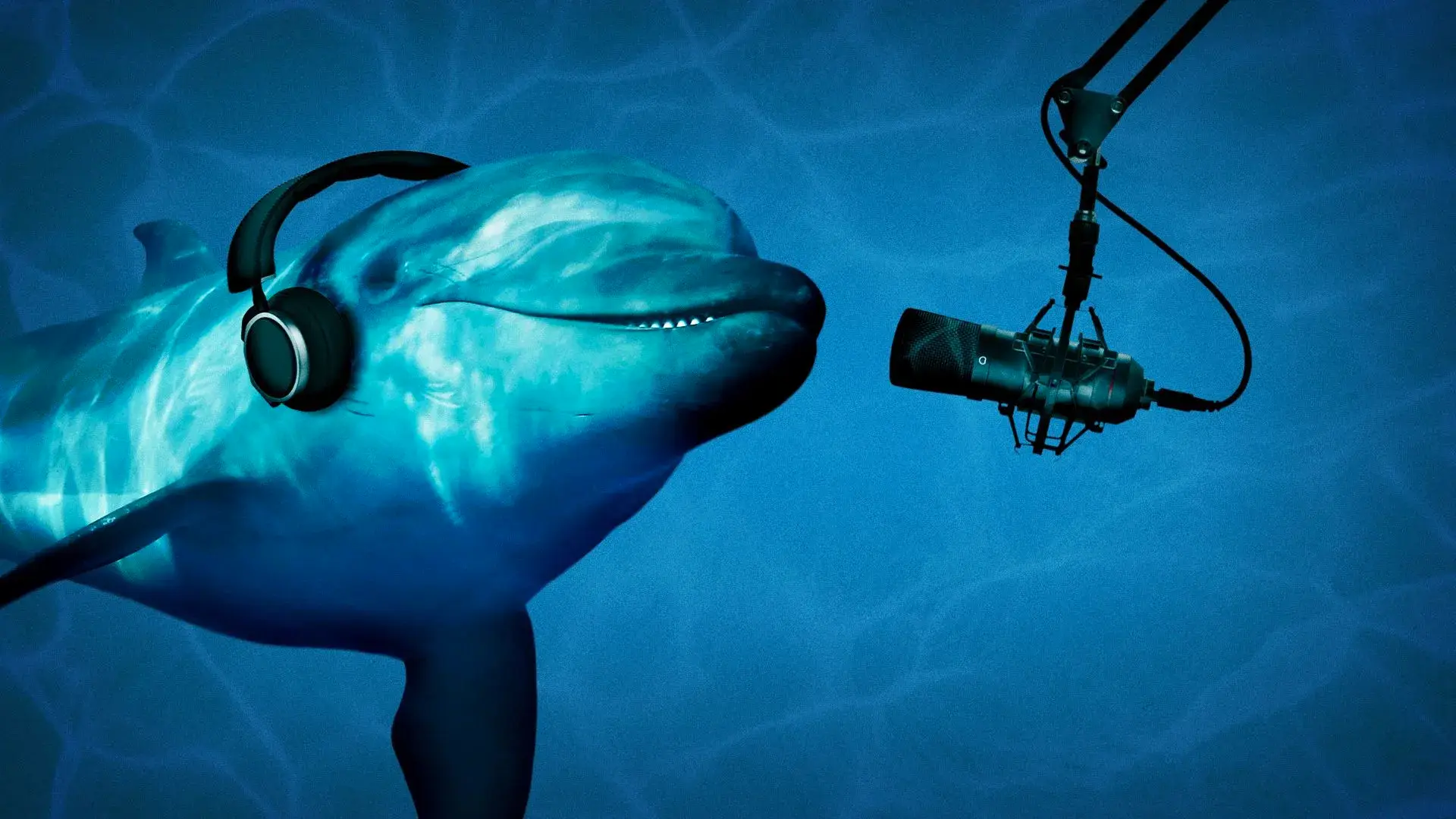 AI is decoding animal sounds: Is it possible we could soon talk to animals?