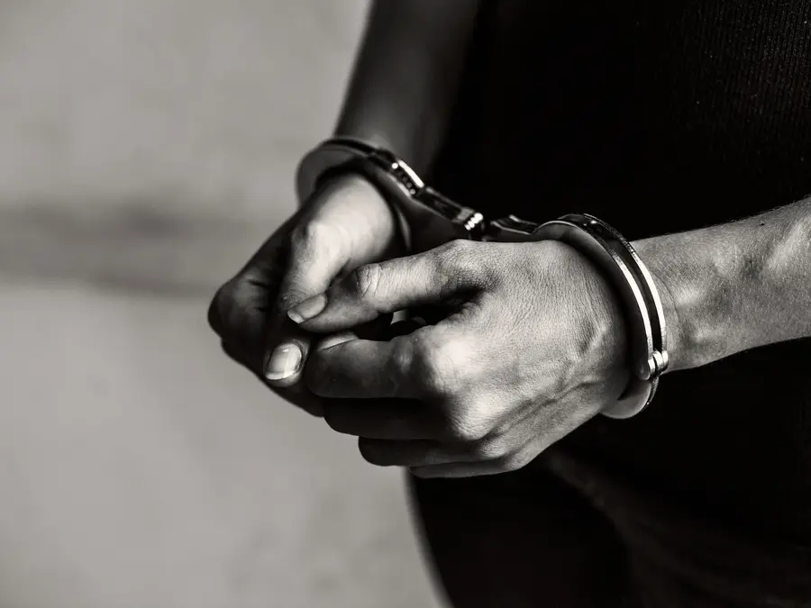 NDLEA arrests convicted cocaine trafficker disguised as herbal tea merchant