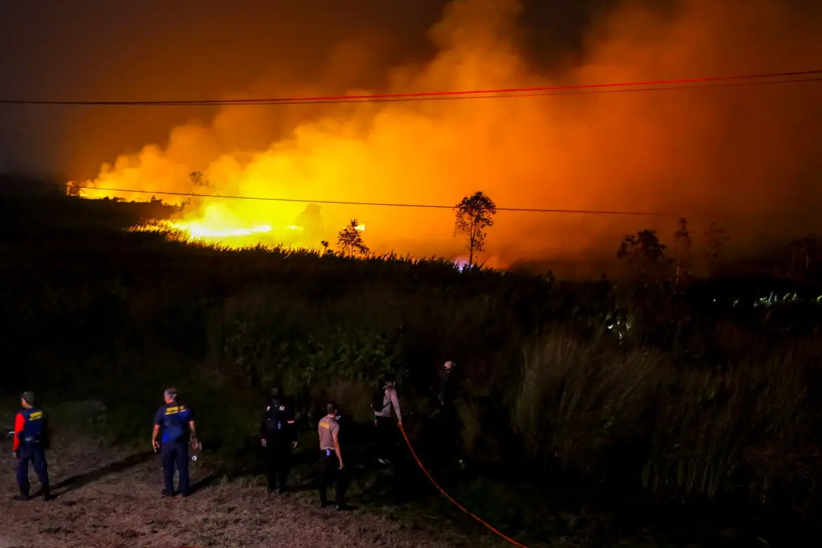 'Carbon bomb' explodes as Indonesia wildfires ravage ancient reserves