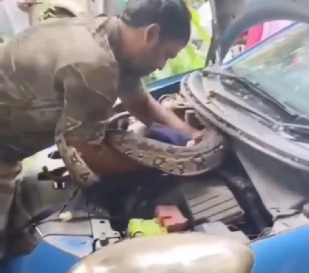 7-foot python found hiding in car’s engine in Mumbai; rescue video goes viral | Watch