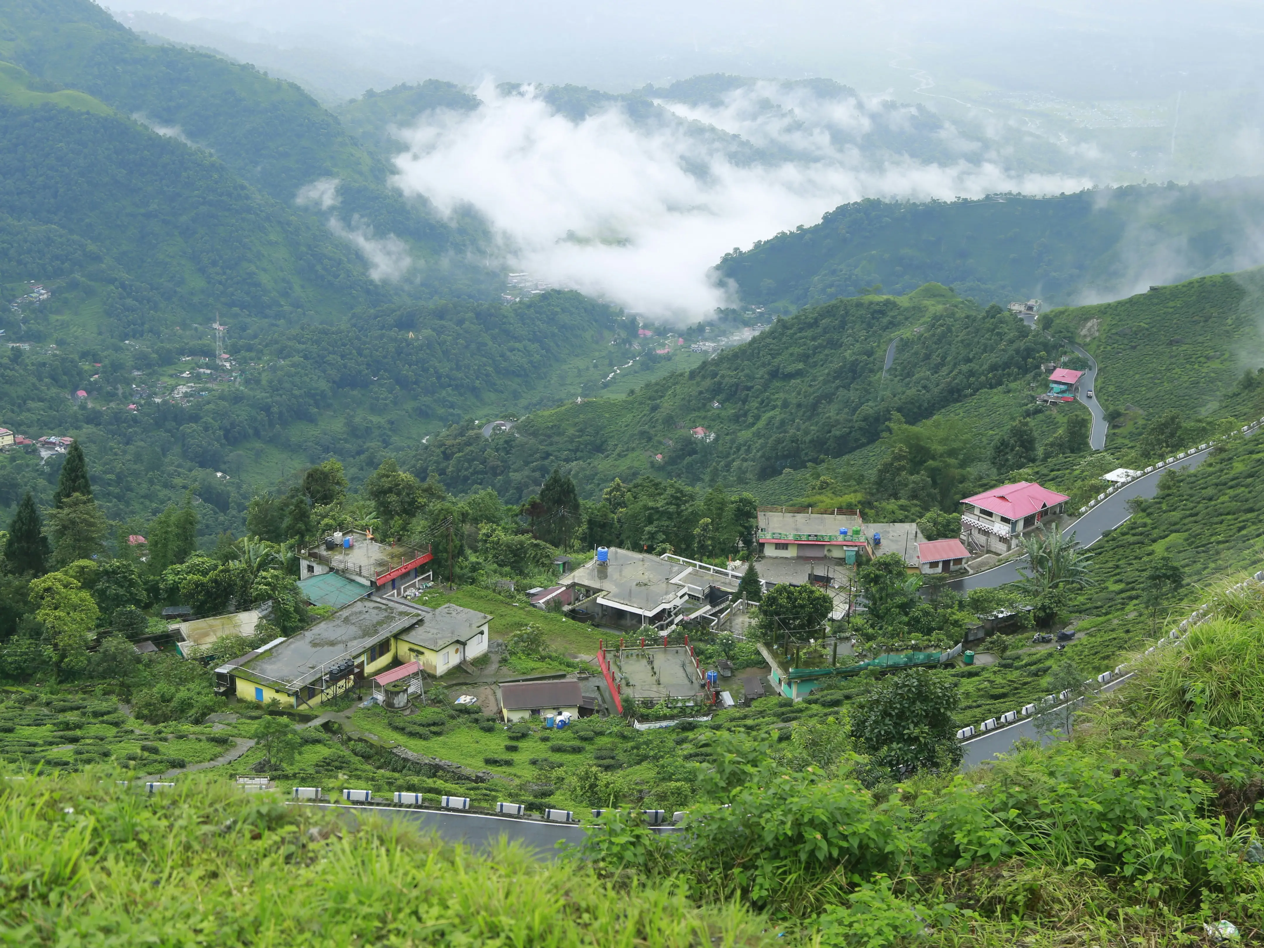 Gravitas | Darjeeling's tea industry faces uncertain future with 61% dip in production over 3 decades Gravitas | Darjeeling's tea industry faces uncertain future with 61% dip in production over 3 decades