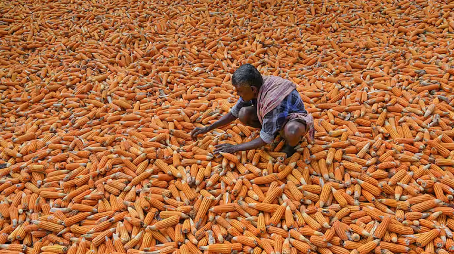 Energy and food security: Biggest combined population and GDP, and the two big challenges for BRICS
