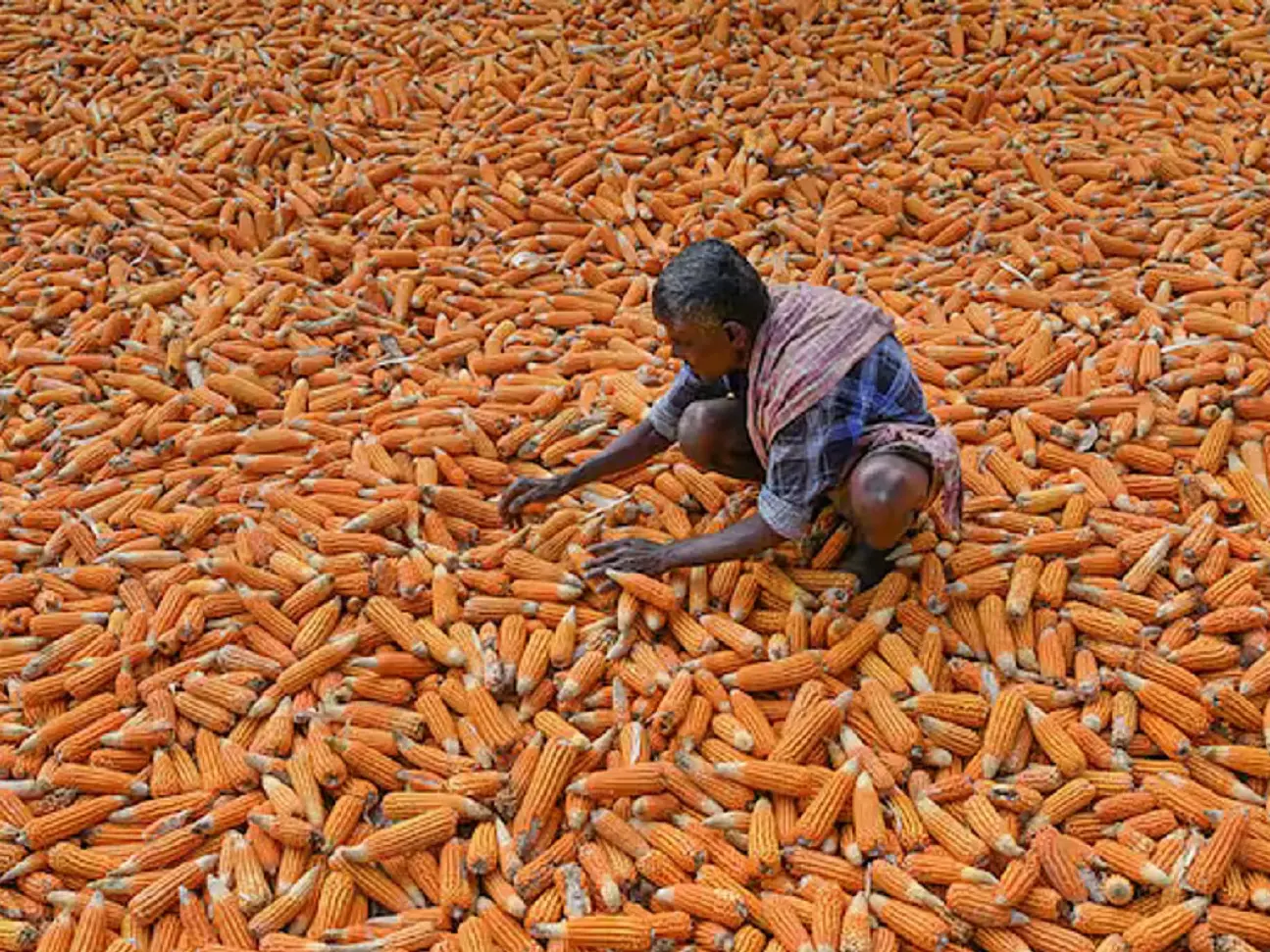 Energy and food security: Biggest combined population and GDP, and the two big challenges for BRICS Energy and food security: Biggest combined population and GDP, and the two big challenges for BRICS