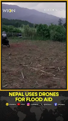Wion News