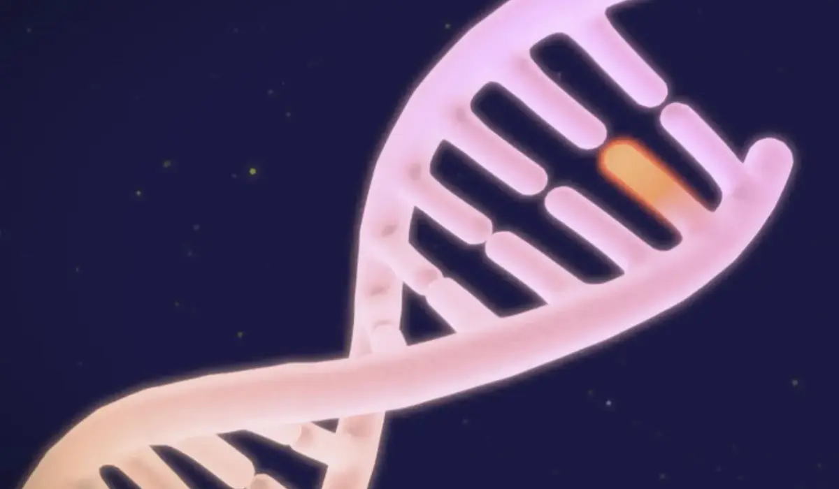Google DeepMind maps 9 billion DNA mutations: How AI could help solve rare diseases