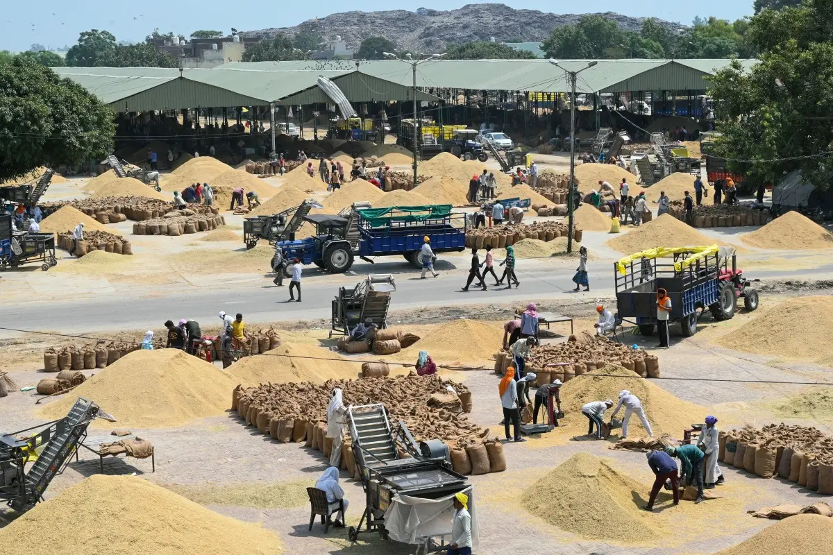 Agricultural goods are the most exported product