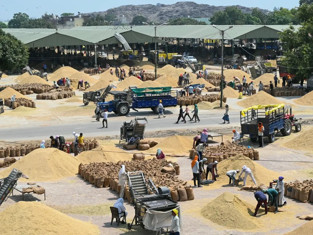 India’s WPI inflation hits 9.92% as CPI rises to 4.82%; will RBI hike rates? India’s WPI inflation hits 9.92% as CPI rises to 4.82%; will RBI hike rates?