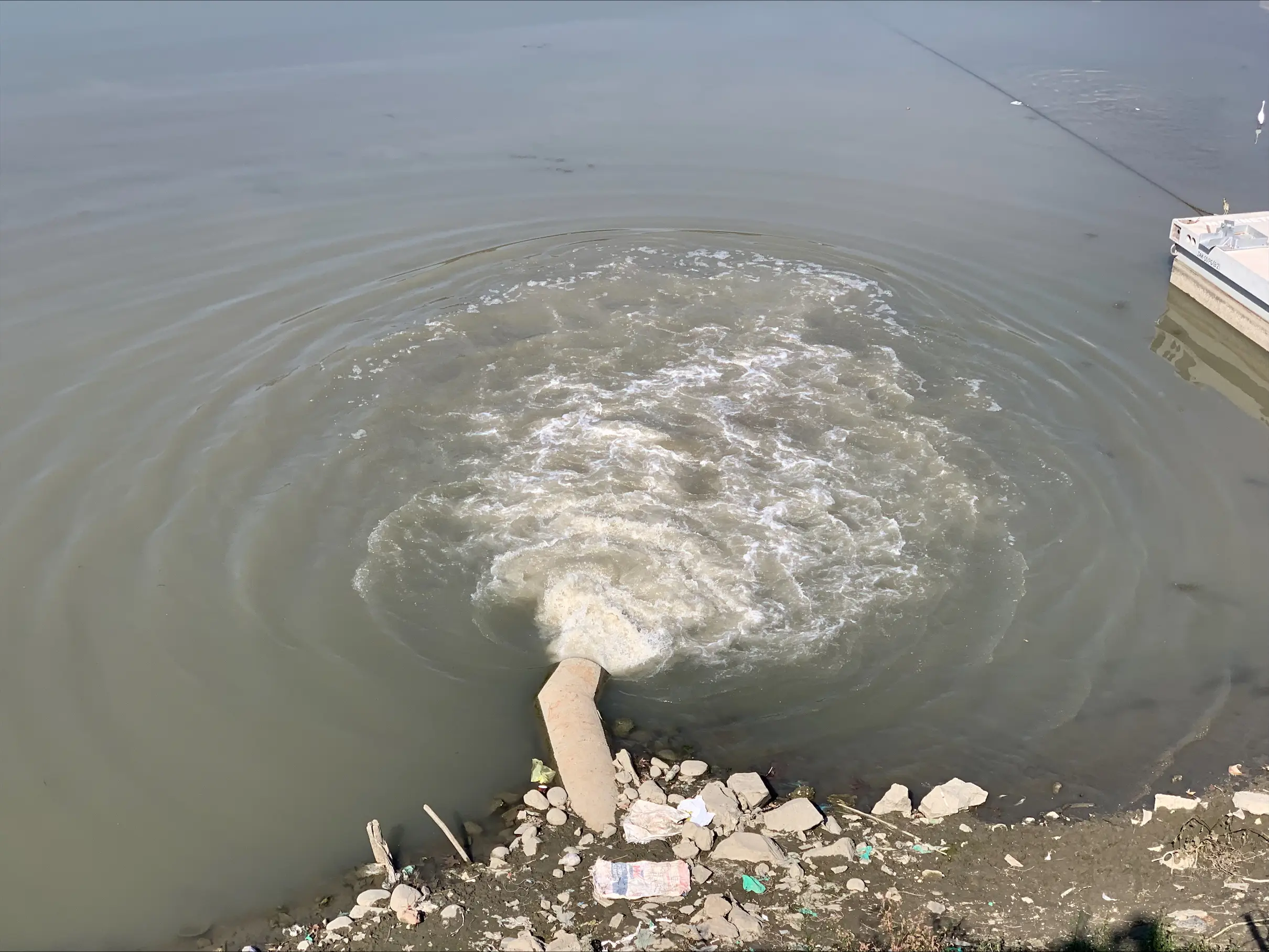 Kashmir’s water lifelines under sewage stress: Dal Lake, Jhelum face growing pollution threat