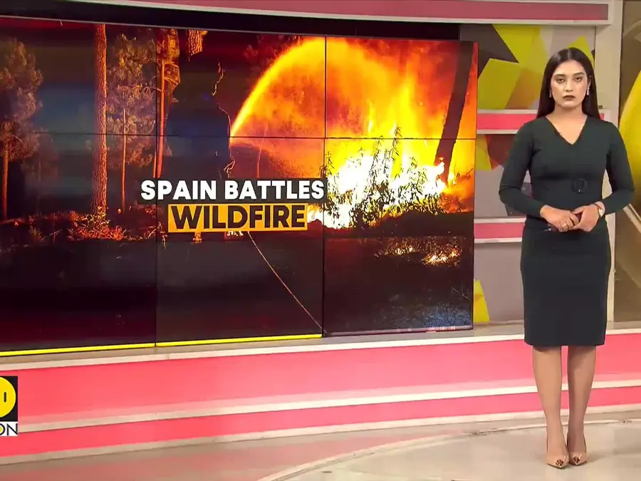 Wildfire tears through forests in Spain's Valencia