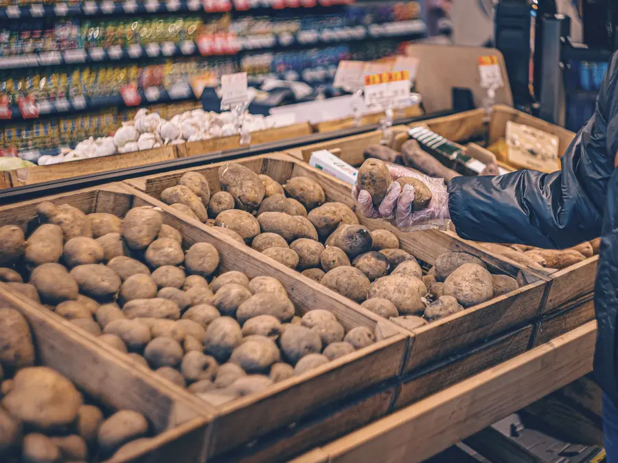 Europe faces potato shortage as record summer heatwaves wipe out 3.5 million tonnes