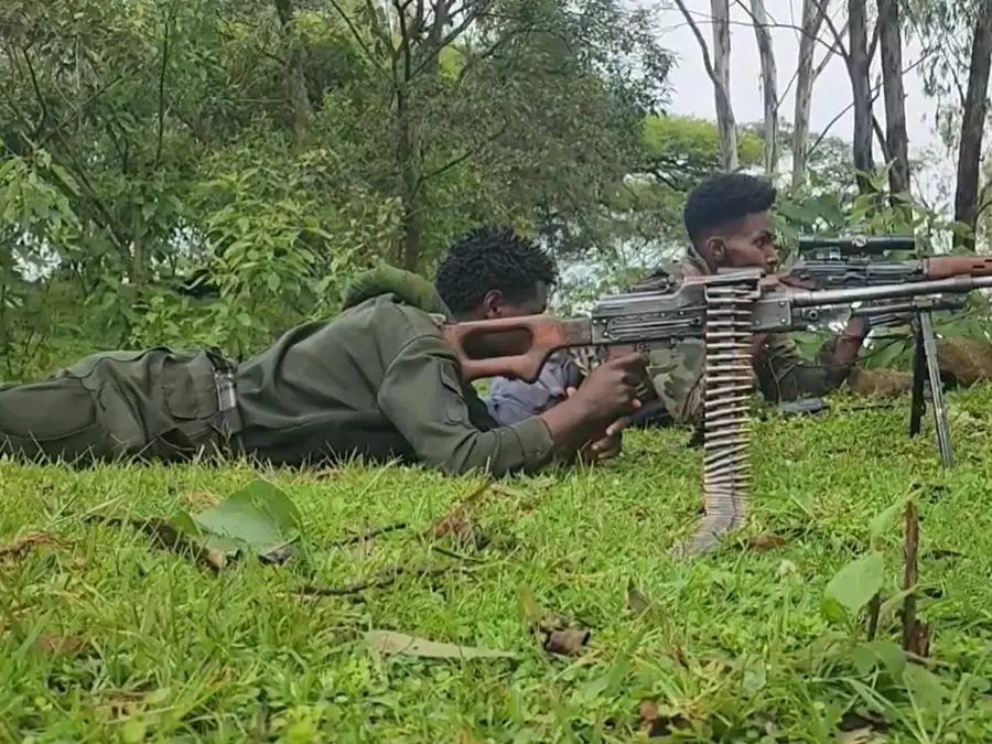 At least 14 killed, 10 abducted in armed group attack on central Ethiopia