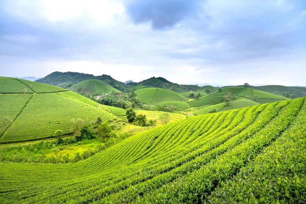 Europe’s Agricultural Heavyweights