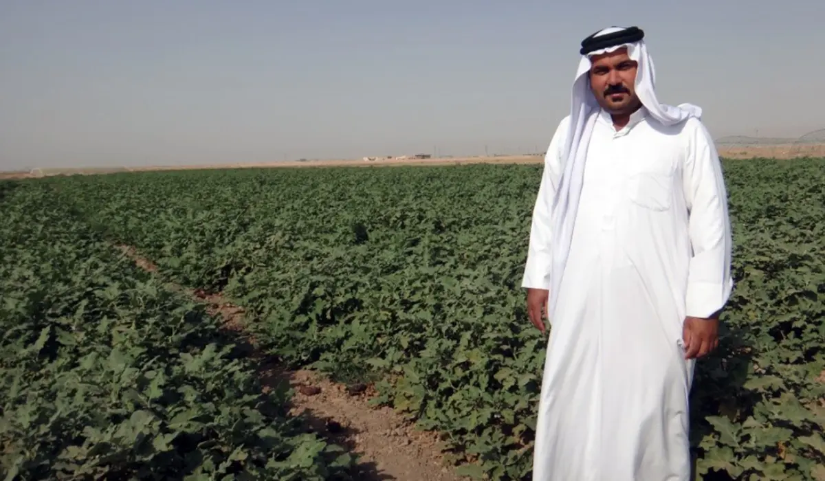 The Arid Middle East