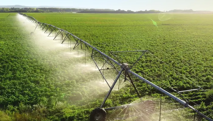 ‘Not the US or China’: These are the countries leading the world in arable land