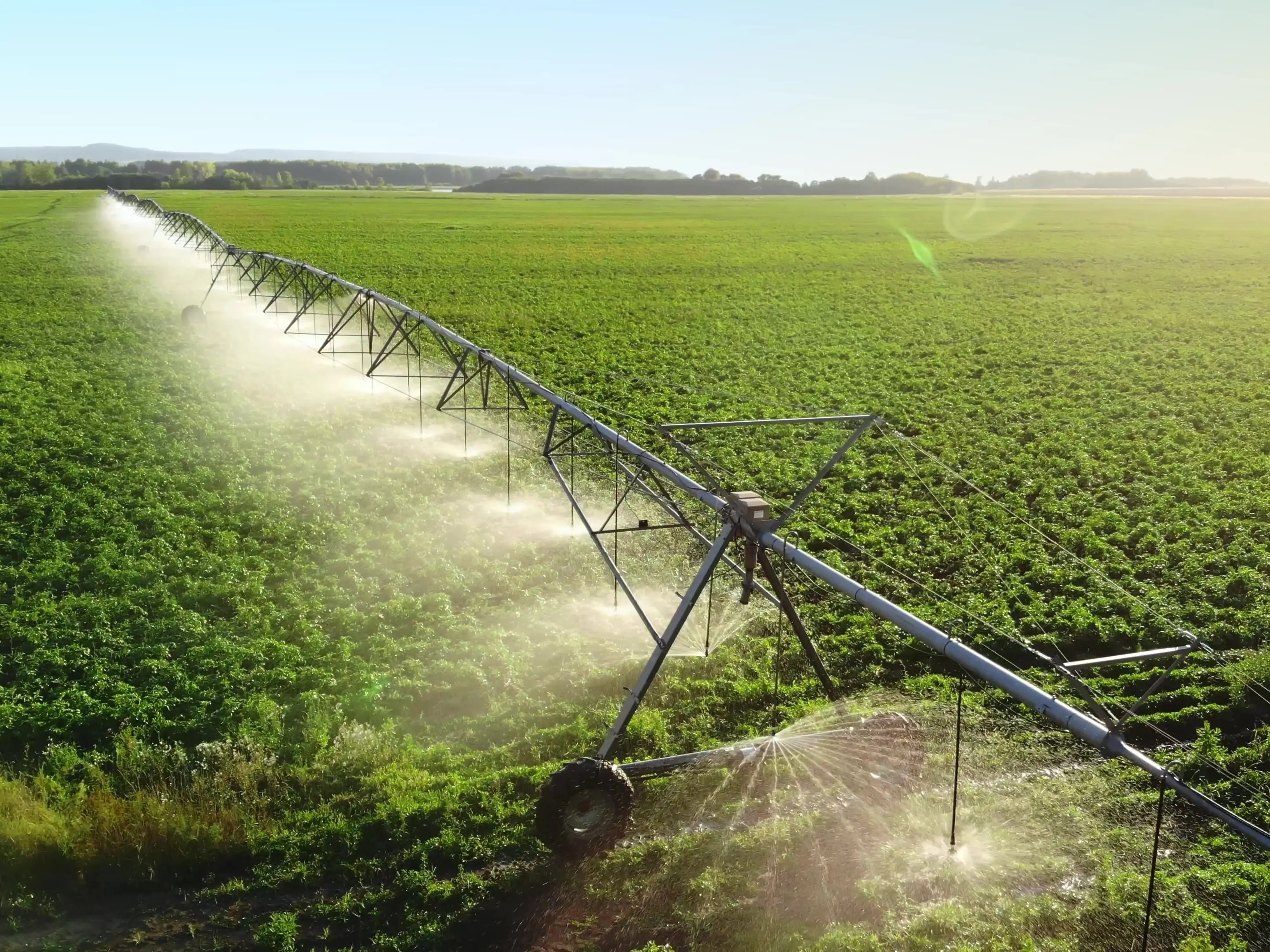 ‘Not the US or China’: These are the countries leading the world in arable land