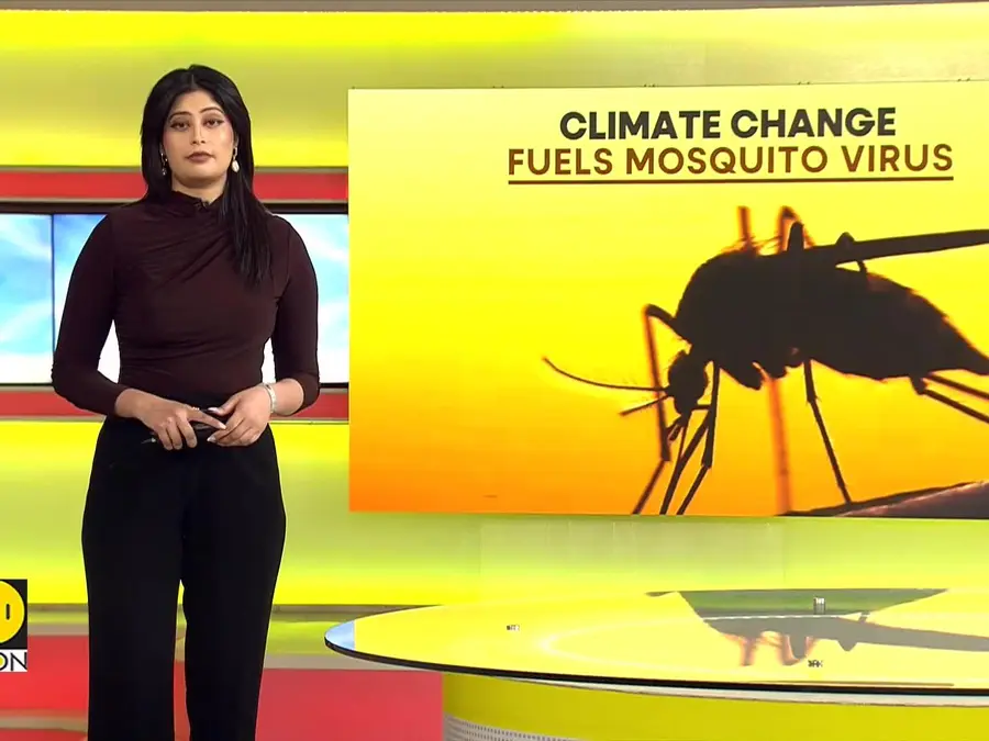 Climate change fuels global rise in Mosquito populations 