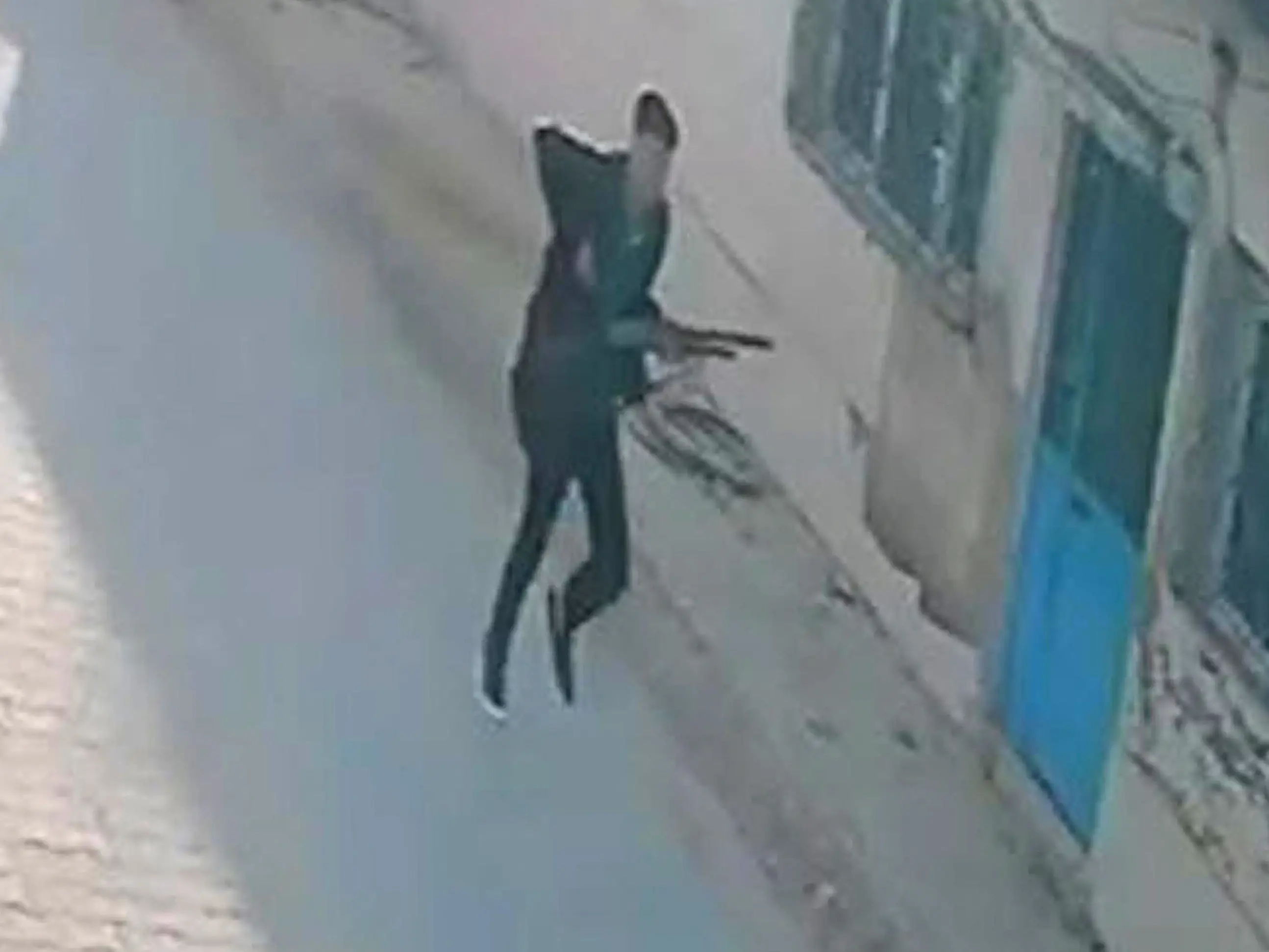 15-year-old opens fire outside high school in Turkey, 11 students injured 15-year-old opens fire outside high school in Turkey, 11 students injured