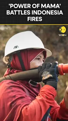 Wion News