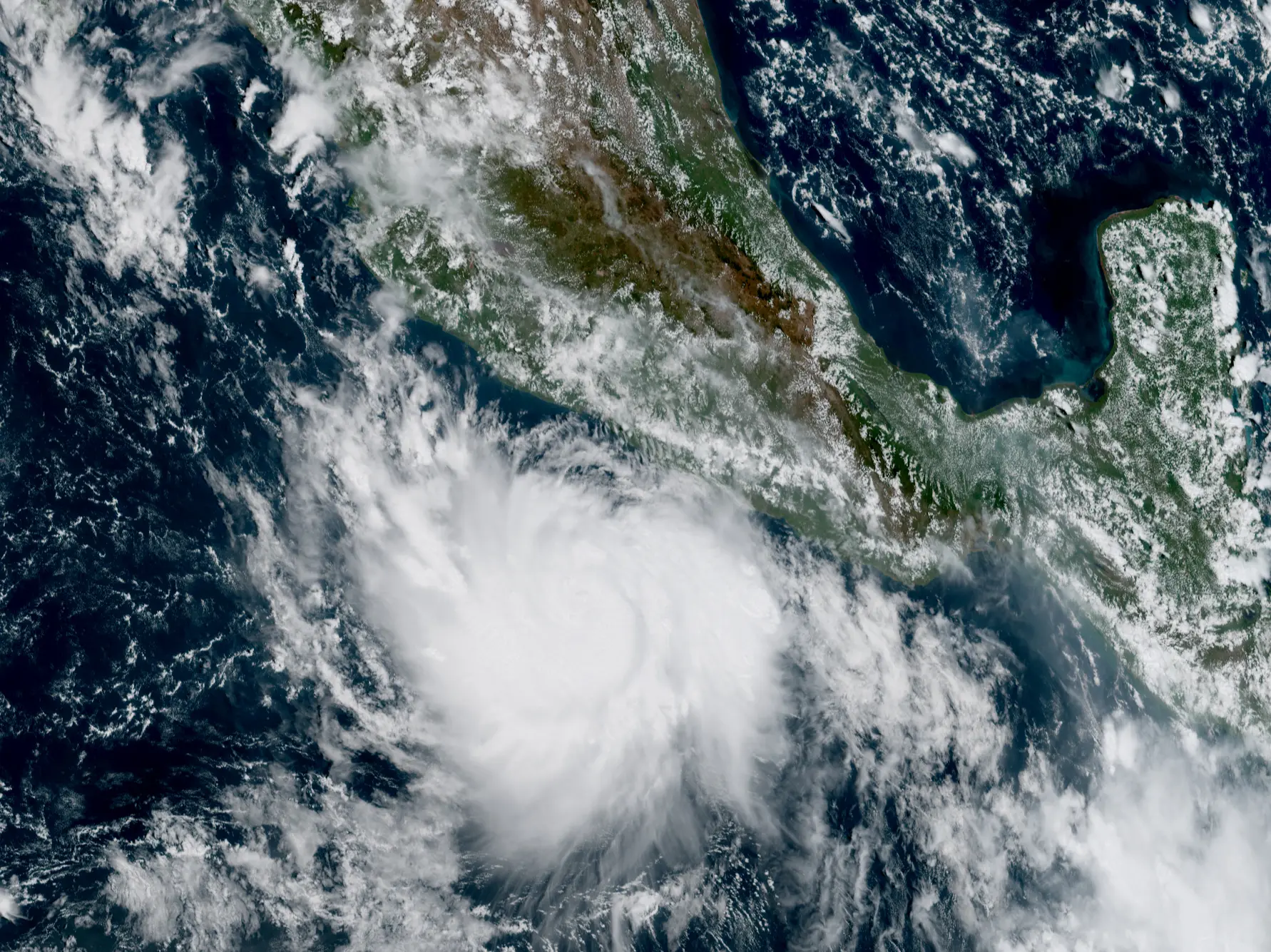 Hurricane Polo becomes 'strongest' Cat 5 in Pacific overnight. What you need to know Hurricane Polo becomes 'strongest' Cat 5 in Pacific overnight. What you need to know