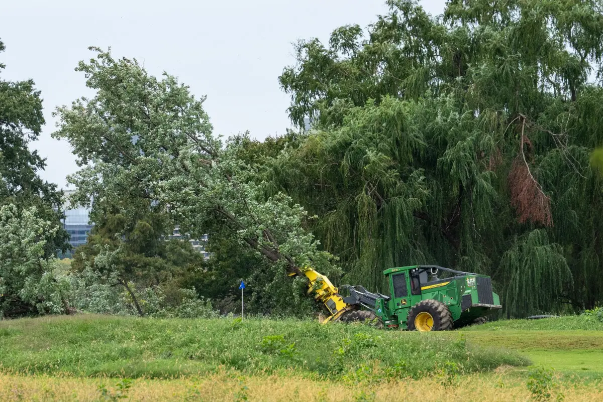 'I am thoroughly unamused': Judge slams Trump administration after 400 trees cut at Washington golf course