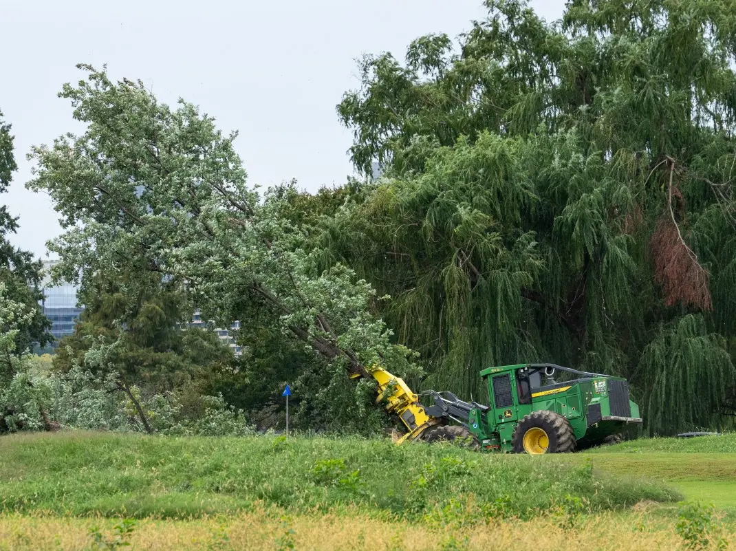 'I am thoroughly unamused': Judge slams Trump administration after 400 trees cut at Washington golf course