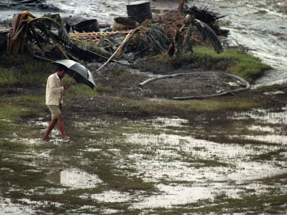 Meteorologists didn't know how to name cyclones. So they relied on their wives and girlfriends