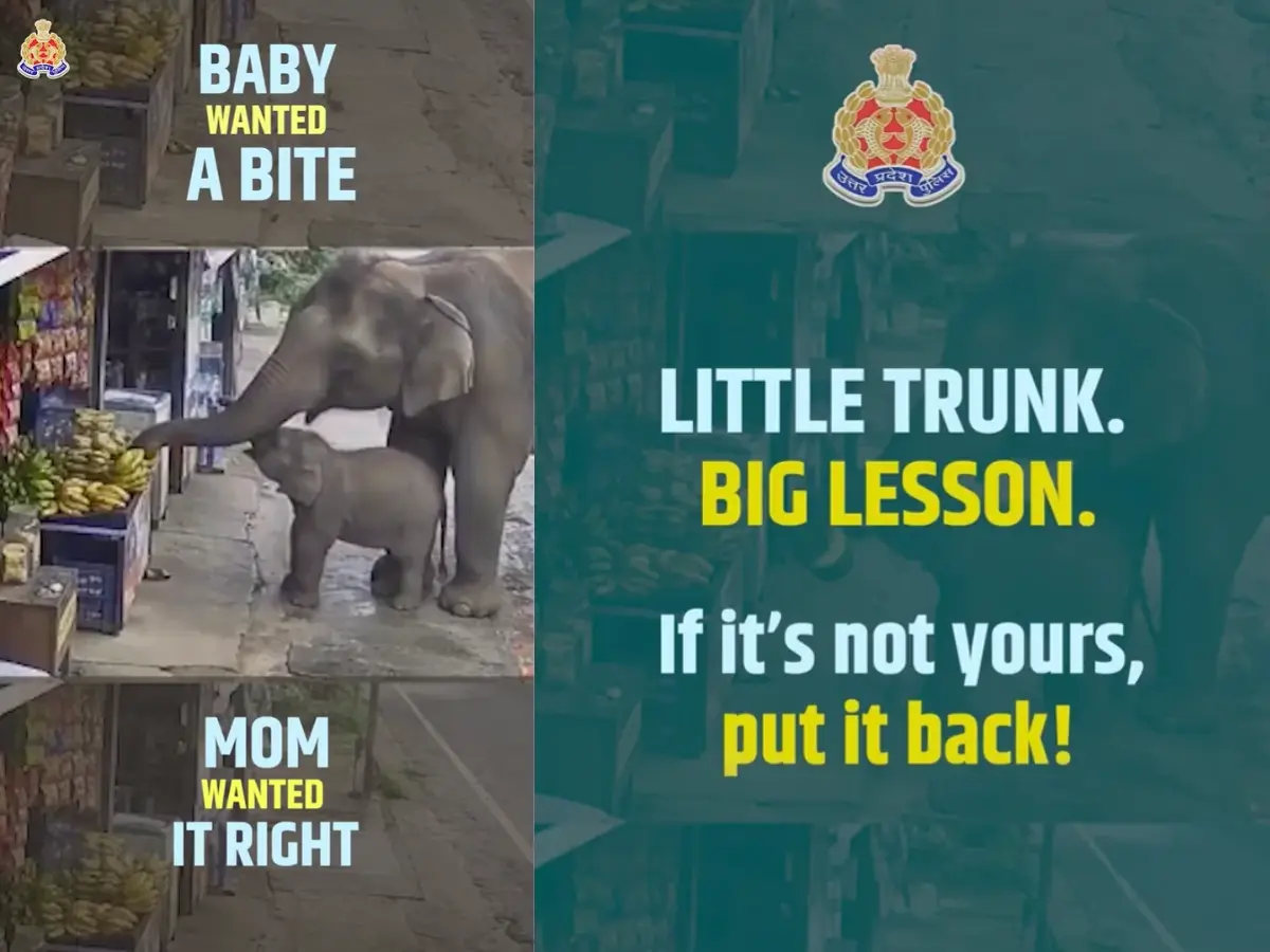 'One little banana heist': UP Police shares elephant mom-calf clip to teach honesty, internet teaches it a lesson instead | Viral video