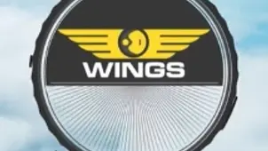 WION Rewind 2024: Looking Back At Travel Trends 2024 | WION Wings